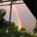 b-day rainbow