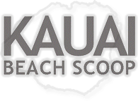 kauai-beach-scoop-logo01